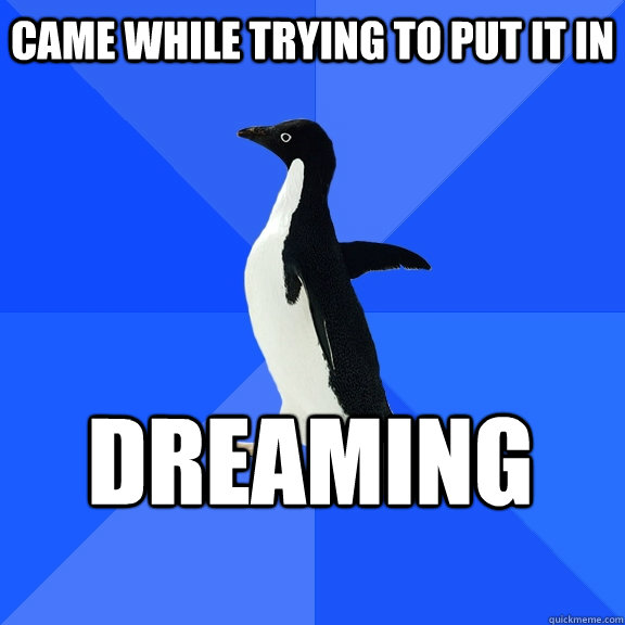 CAME WHILE TRYING TO PUT IT IN DREAMING    Socially Awkward Penguin