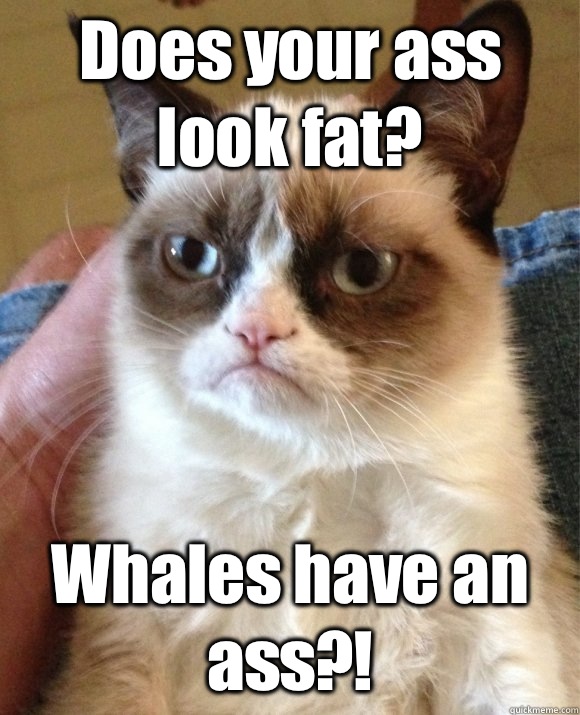 Does your ass look fat? Whales have an ass?!  