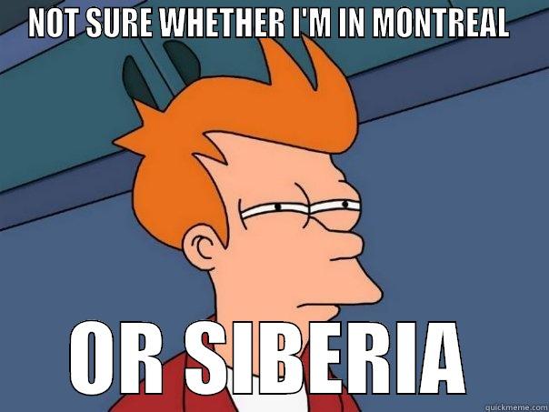 NOT SURE WHETHER I'M IN MONTREAL  OR SIBERIA Futurama Fry