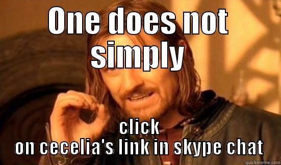 ONE DOES NOT SIMPLY CLICK ON CECELIA'S LINK IN SKYPE CHAT Boromir