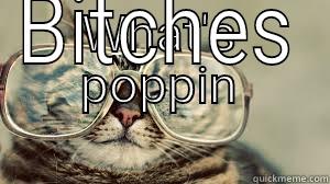 WHAT'S POPPIN BITCHES Misc