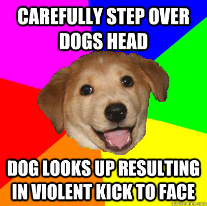 carefully step over dogs head dog looks up resulting in violent kick to face  