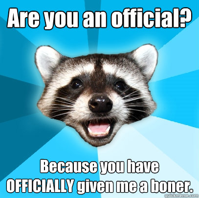 Are you an official? Because you have OFFICIALLY given me a boner.  Lame Pun Coon