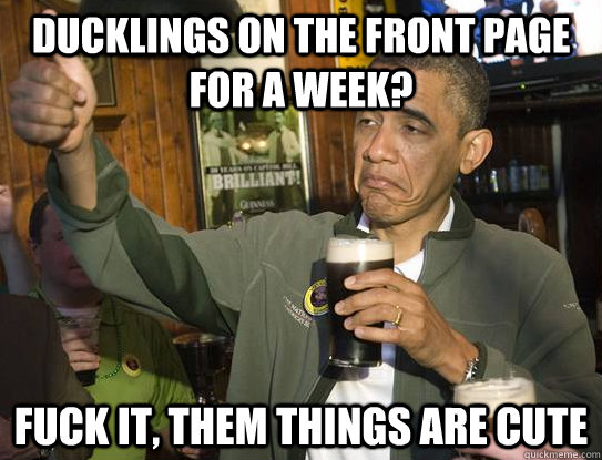 Ducklings on the front page for a week? Fuck it, them things are cute  Upvoting Obama