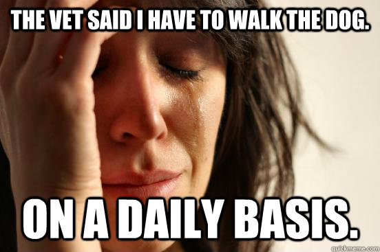 The vet said I have to walk the dog. On a daily basis.  First World Problems