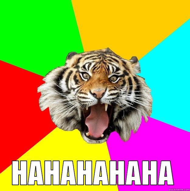 laughing tiger -  HAHAHAHAHA Time of the Month Tiger