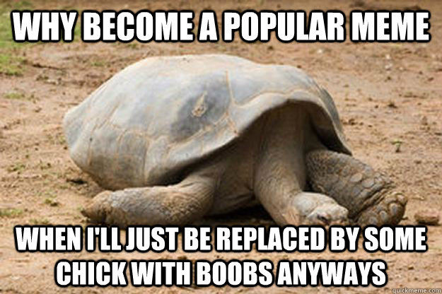 Why become a popular meme when I'll just be replaced by some chick with boobs anyways  Depression Turtle