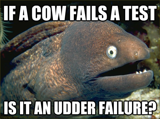 if a cow fails a test is it an udder failure? - if a cow fails a test is it an udder failure?  Bad Joke Eel