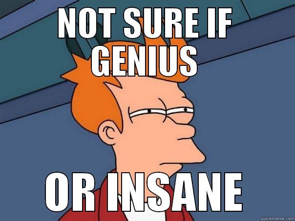 NOT SURE IF GENIUS OR INSANE Futurama Fry