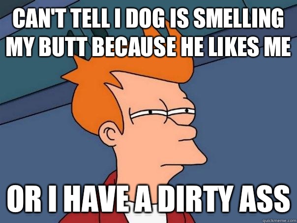 Can't tell i dog is smelling my butt because he likes me Or I have a dirty ass  Futurama Fry