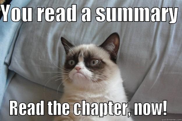 Grumpy Badge - YOU READ A SUMMARY  READ THE CHAPTER, NOW!  Grumpy Cat