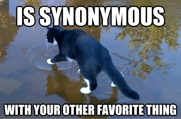 is synonymous with your other favorite thing  Jesus Cat