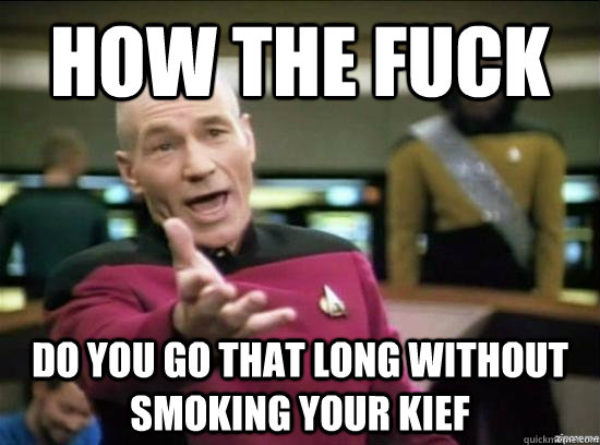 How the fuck Do you go that long without smoking your kief - How the fuck Do you go that long without smoking your kief  Misc