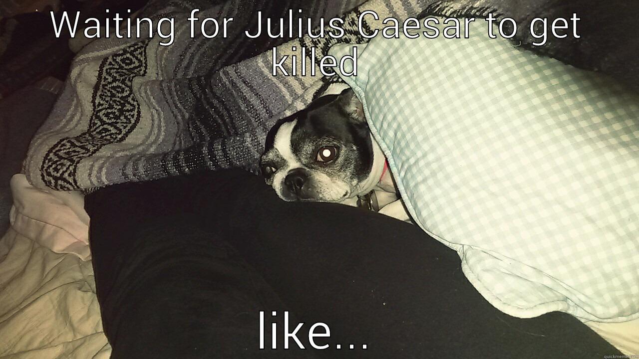 WAITING FOR JULIUS CAESAR TO GET KILLED LIKE... Misc