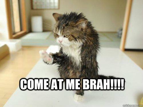 Come at me BRAH!!!! - Come at me BRAH!!!!  Come at me bra