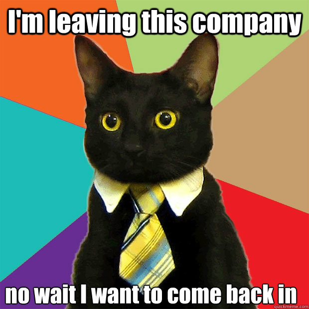 I'm leaving this company no wait I want to come back in Caption 3 goes here Caption 4 goes here  Business Cat