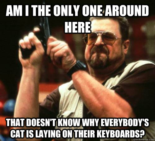 am i the only one around here That doesn't know why everybody's cat is laying on their keyboards? - am i the only one around here That doesn't know why everybody's cat is laying on their keyboards?  Misc