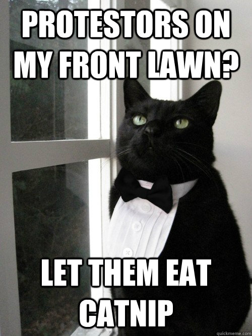 protestors on my front lawn? let them eat catnip  One Percent Cat