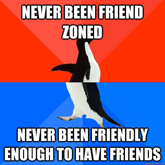 never been friend zoned never been friendly enough to have friends  Socially Awesome Awkward Penguin
