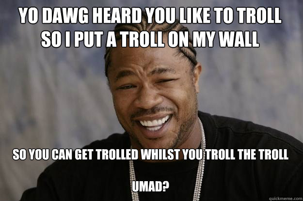 YO DAWG HEARD YOU LIKE TO TROLL
SO I PUT A TROLL ON MY WALL  SO YOU CAN GET TROLLED WHILST YOU TROLL THE TROLL

umad?  Xzibit meme