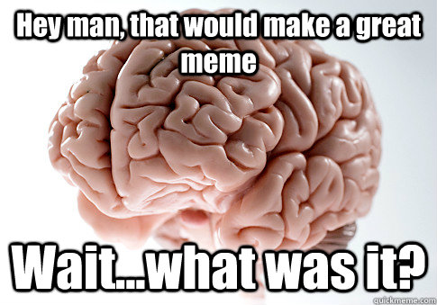 Hey man, that would make a great meme Wait...what was it?   Scumbag Brain