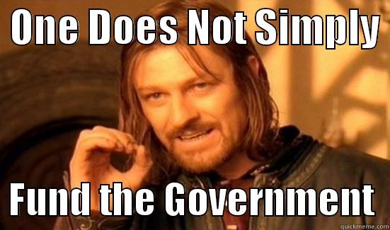  ONE DOES NOT SIMPLY    FUND THE GOVERNMENT  Boromir