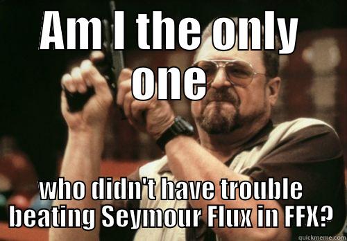 AM I THE ONLY ONE WHO DIDN'T HAVE TROUBLE BEATING SEYMOUR FLUX IN FFX? Misc