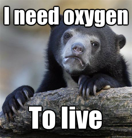 I need oxygen To live  Confession Bear