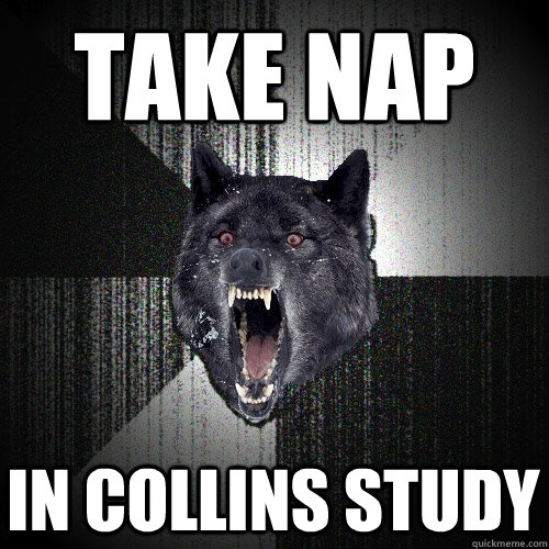 Take nap In Collins study  Insanity Wolf
