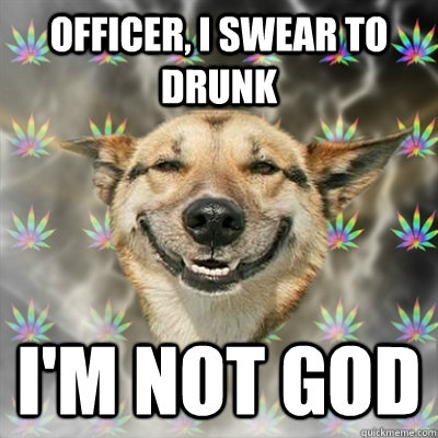 Officer, I swear to drunk i'm not god  Stoner Dog