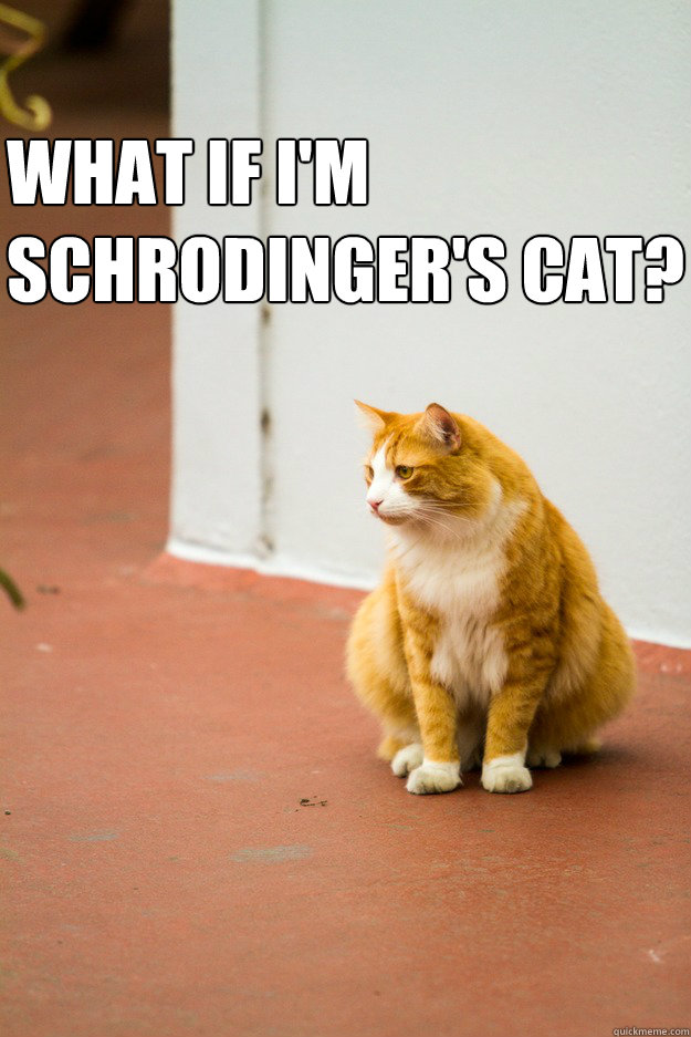 What if I'm 
Schrodinger's cat? - What if I'm 
Schrodinger's cat?  Misc