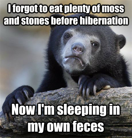 I forgot to eat plenty of moss and stones before hibernation Now I'm sleeping in my own feces  Confession Bear