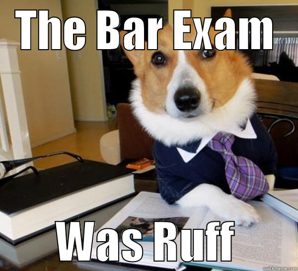 THE BAR EXAM WAS RUFF Lawyer Dog