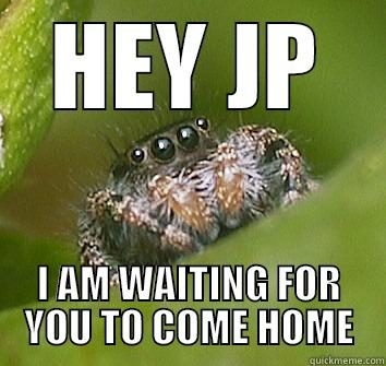 HEY JP I AM WAITING FOR YOU TO COME HOME Misunderstood Spider
