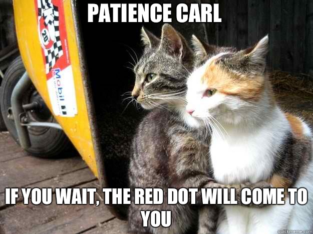 Patience Carl  If you wait, the red dot will come to you  Restraining Cat