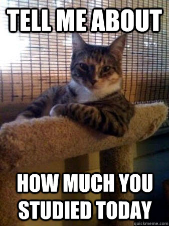 Tell me about how much you studied today  The Most Interesting Cat in the World