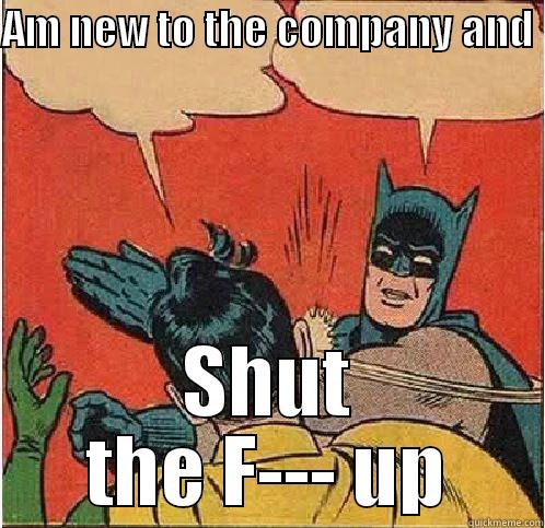 AM NEW TO THE COMPANY AND  SHUT THE F--- UP Batman Slapping Robin