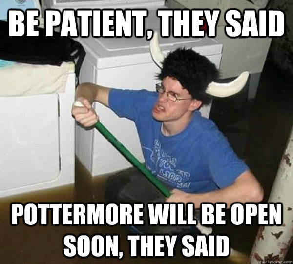 be patient, they said pottermore will be open soon, they said  They said