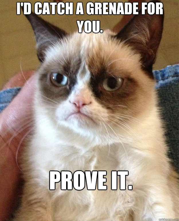 I'd catch a grenade for you. PROVE IT. - I'd catch a grenade for you. PROVE IT.  Misc