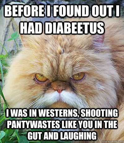 Before I found out i had diabeetus I was in Westerns, shooting pantywastes like you in the gut and laughing  
