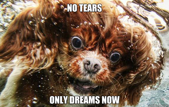 No tears only dreams now - No tears only dreams now  Cosmic Advice Dog