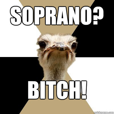 Soprano? BITCH!  Music Major Ostrich