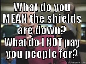 WHAT DO YOU MEAN THE SHIELDS ARE DOWN? WHAT DO I NOT PAY YOU PEOPLE FOR? Annoyed Picard