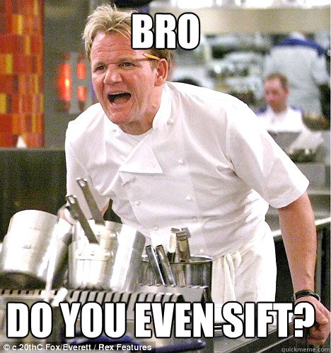 bro do you even sift?  gordon ramsay