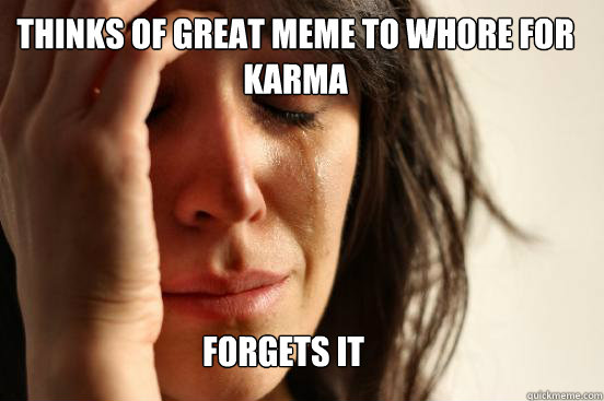 Thinks of great meme to whore for karma  forgets it  First World Problems