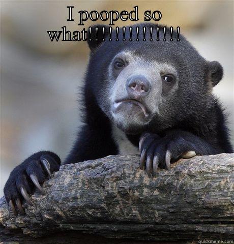 I POOPED SO WHAT!!!!!!!!!!!!!!  Confession Bear