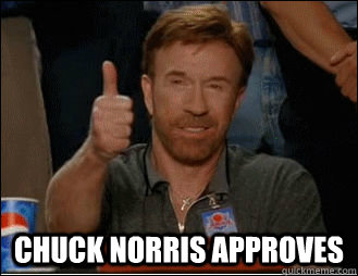  CHUCK NORRIS APPROVES   