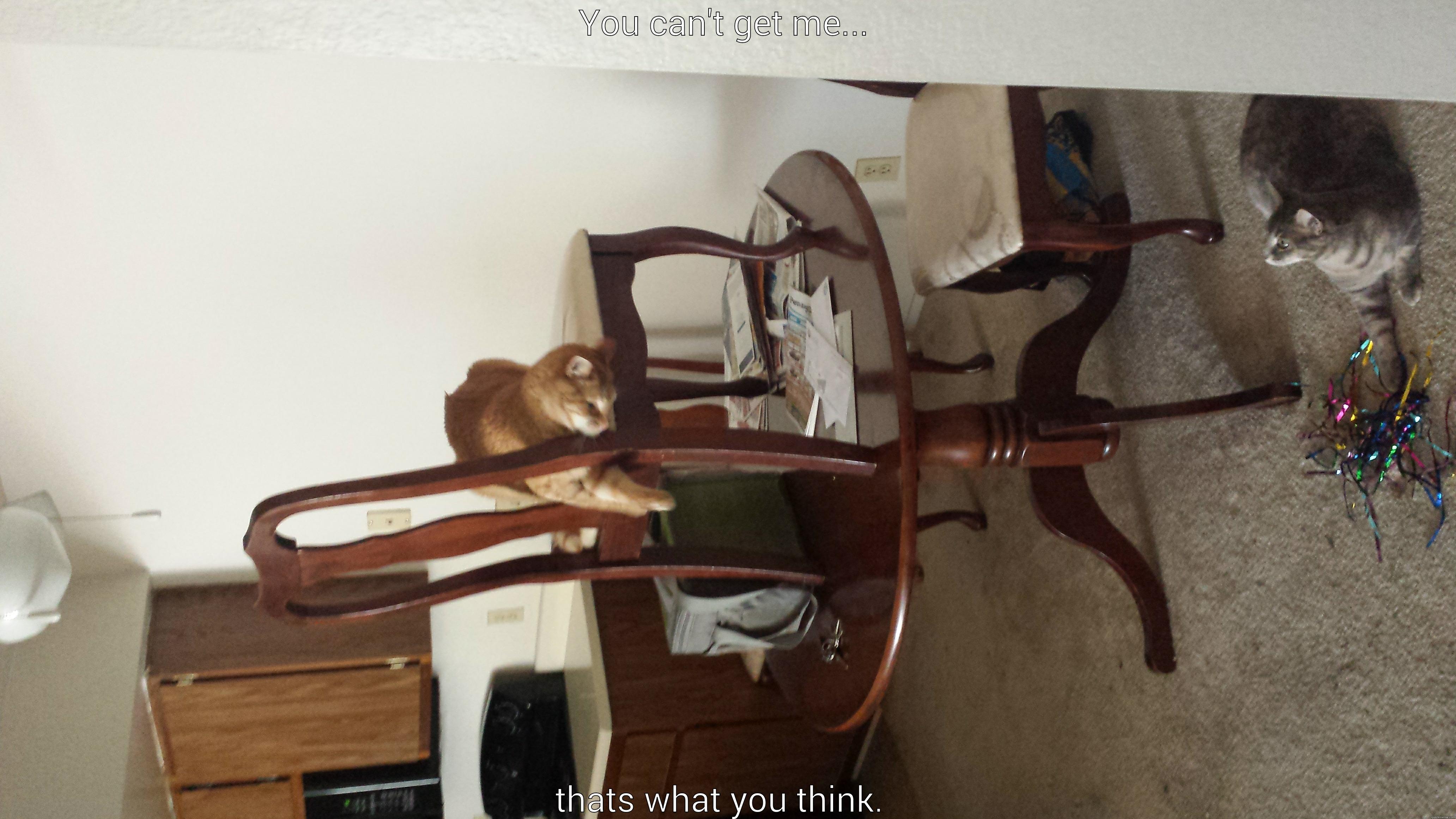 YOU CAN'T GET ME... THATS WHAT YOU THINK.  Misc