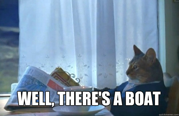 well, there's a boat  Sophisticated Cat