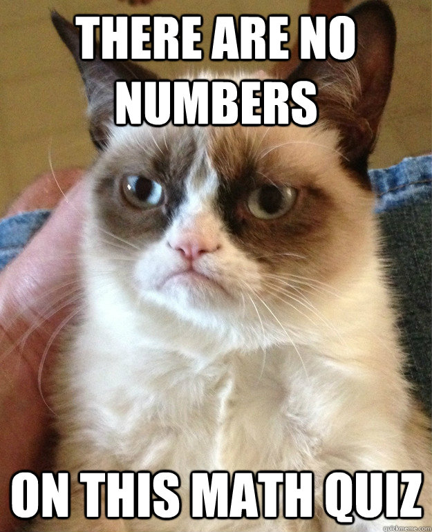 There are no numbers on this math quiz  Grumpy Cat